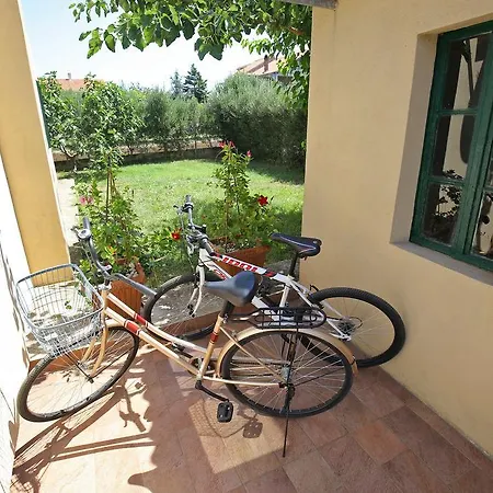 Frane Villa *